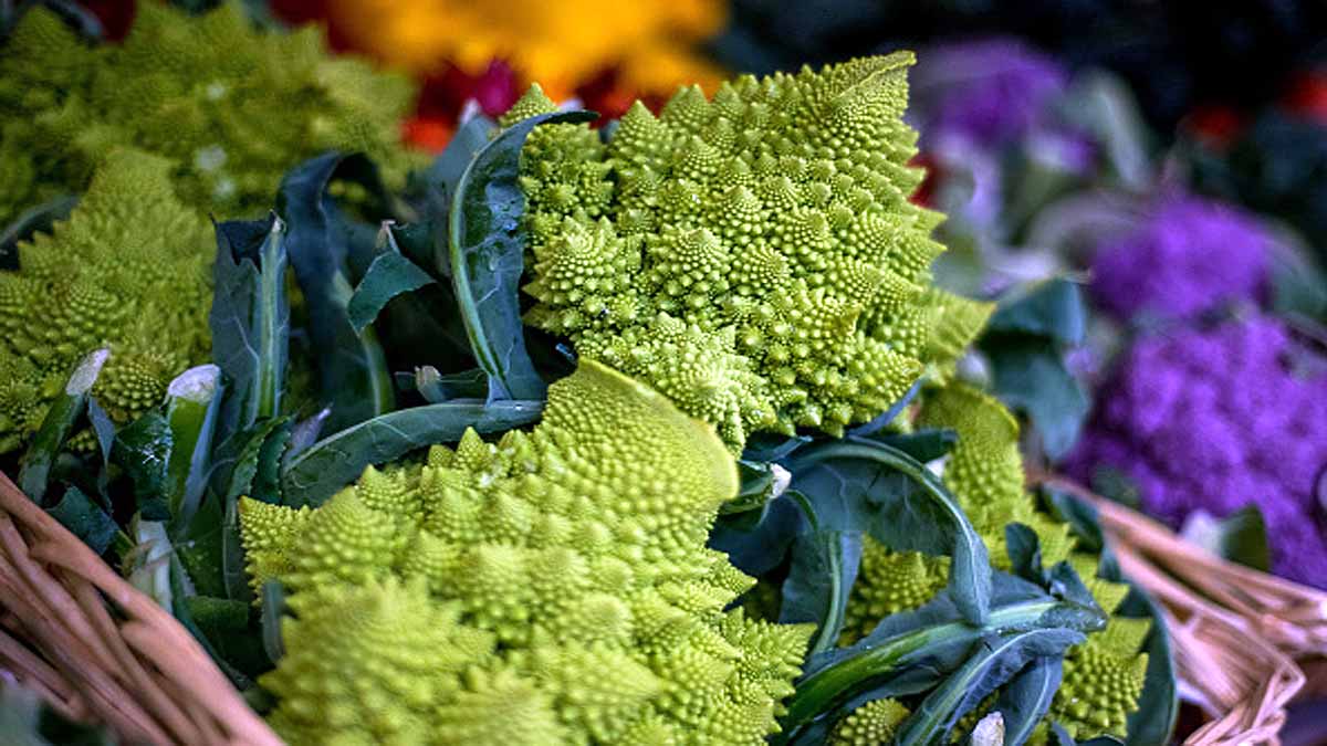 Weird Romanesco cauliflowers