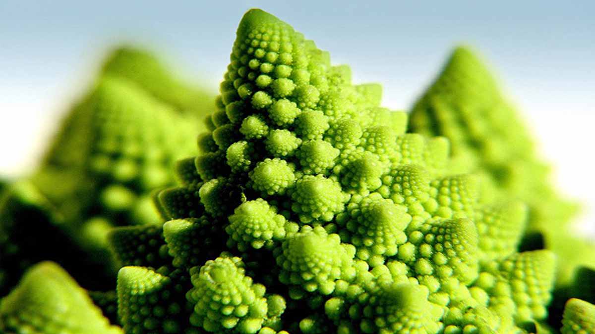 Weird Romanesco cauliflowers