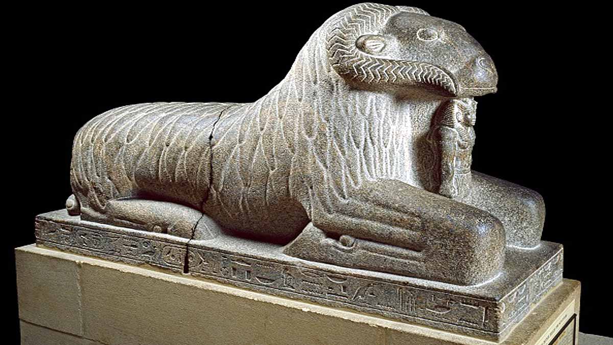 Pristine DNA Sheep Mummy 