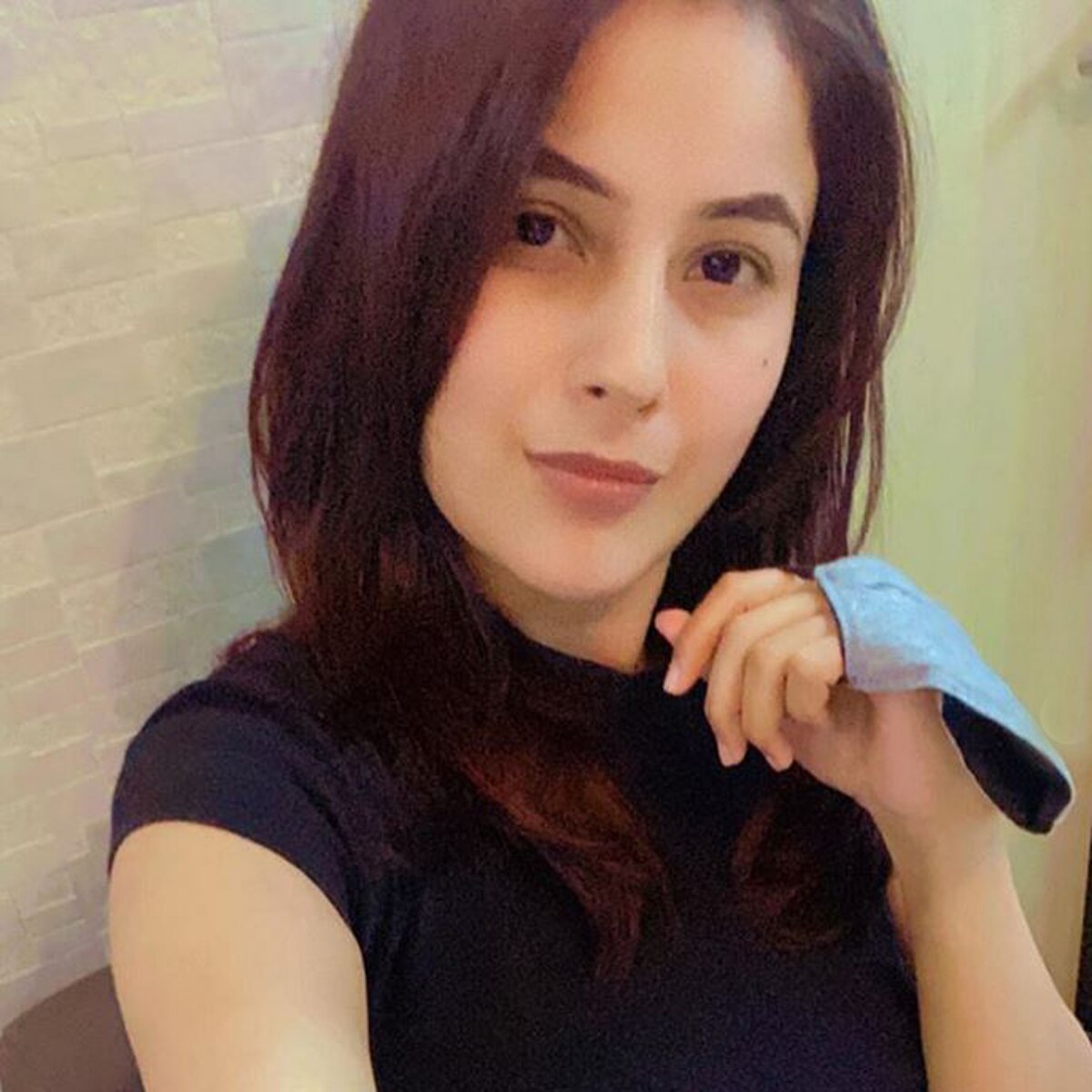 शहनाज गिल