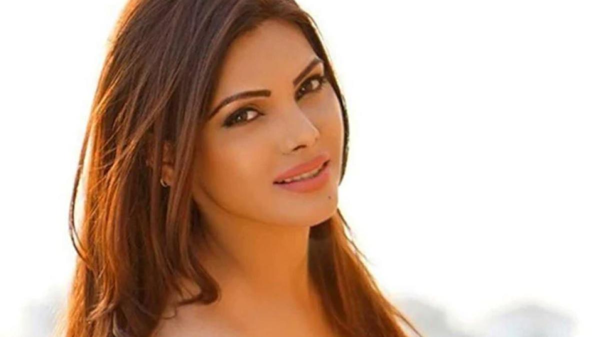 'हॉलीवुड मॉडल की तरह करो एक्सपोज, HotShot के लिए राज कुंद्रा ने किया था अप्रोच' शर्लिन चोपड़ा का दावा