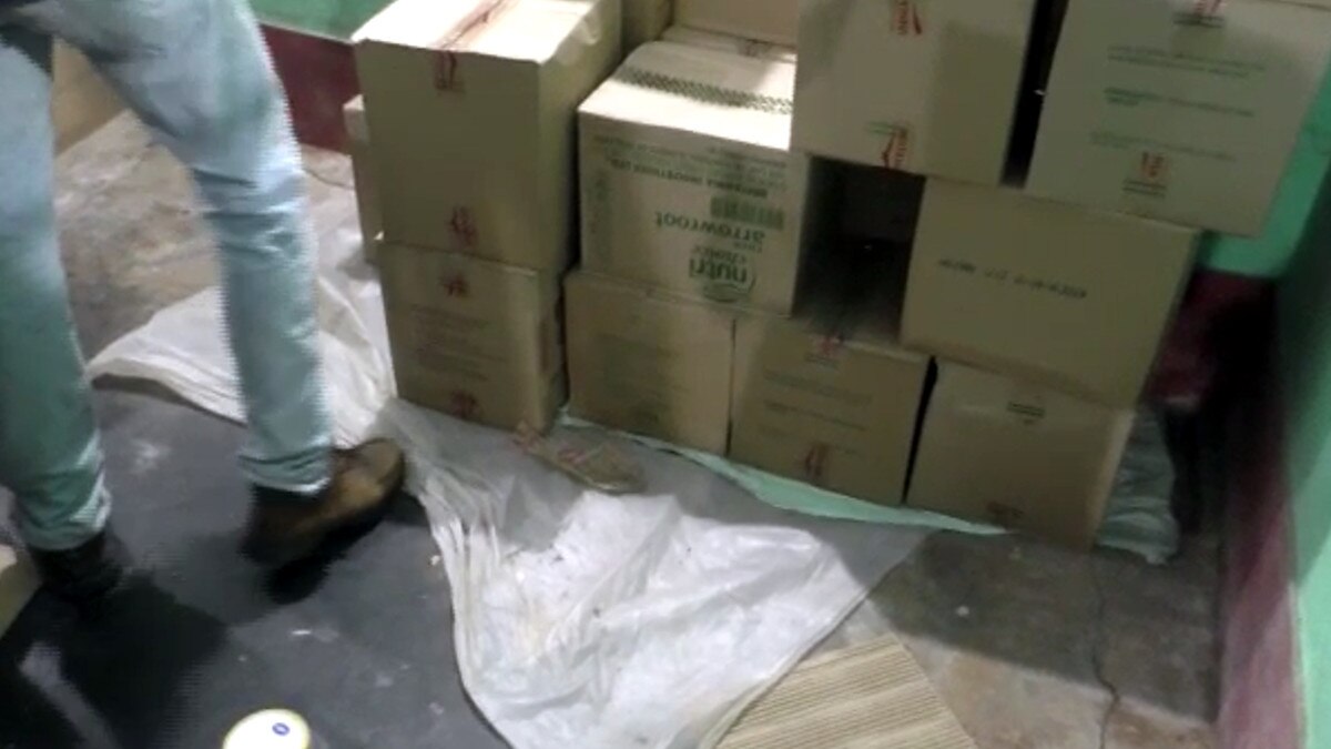 baby cobra snakes moving near the carton box