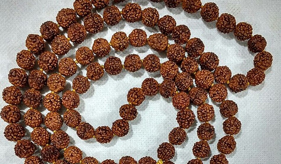 रूद्राक्ष 