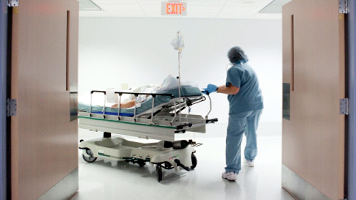 Superbug Fungus in US