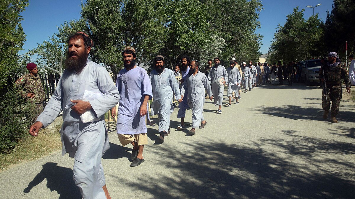 तालिबान