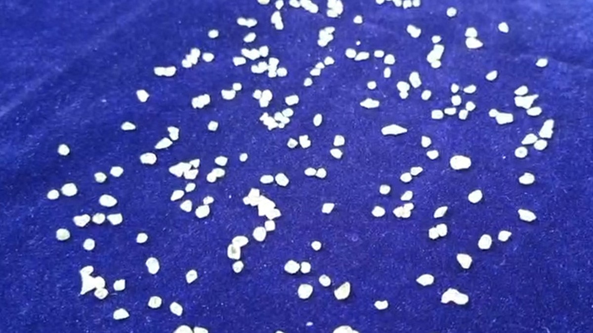 22 लाख के हीरे के साथ तस्कर गिरफ्तार 