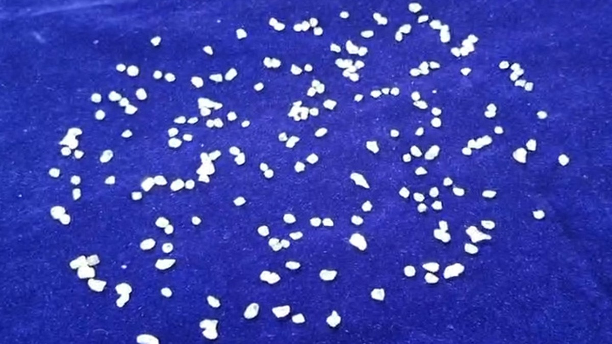 22 लाख के हीरे के साथ तस्कर गिरफ्तार 