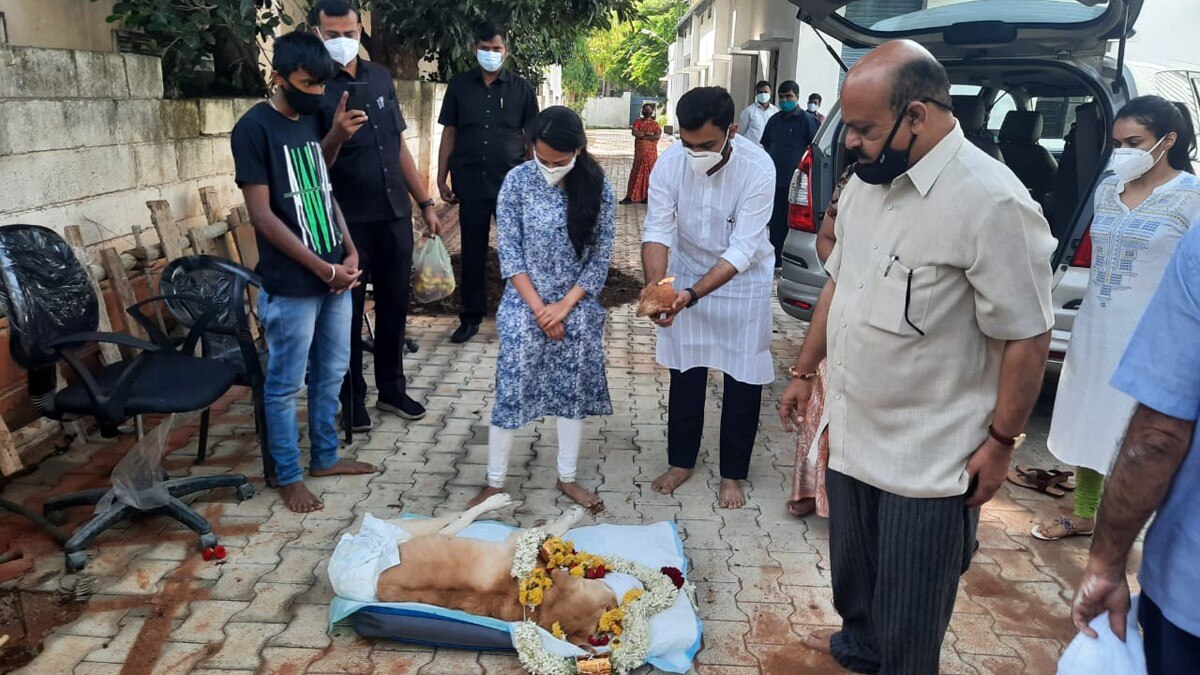 डॉग की मौत पर फफक- फफक कर रोए थे सीएम बसवराज बोम्मई