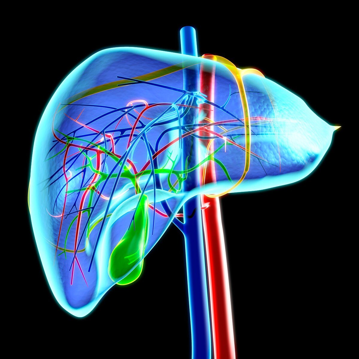 प्रतीकात्मक फोटो (Getty)