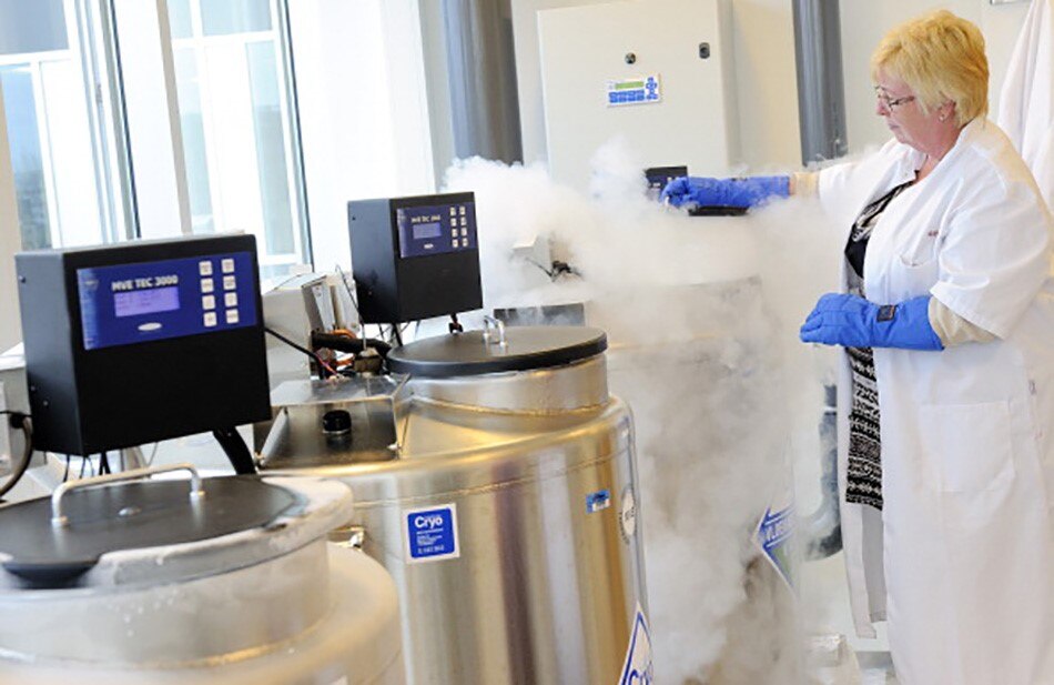 प्रतीकात्मक फोटो (getty)