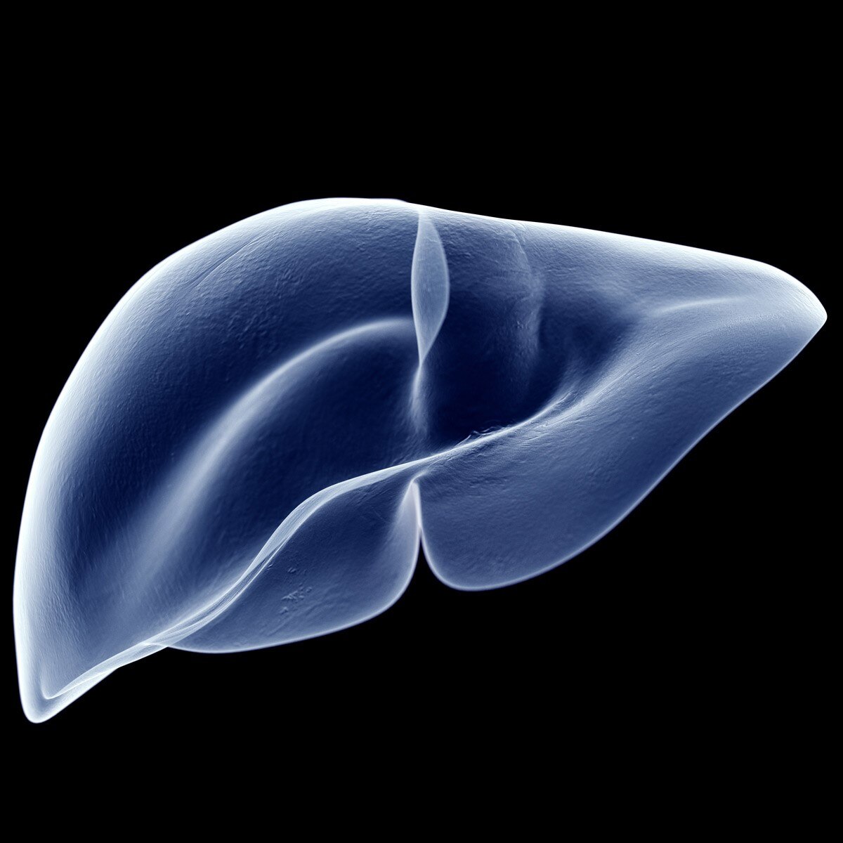 प्रतीकात्मक फोटो (Getty)