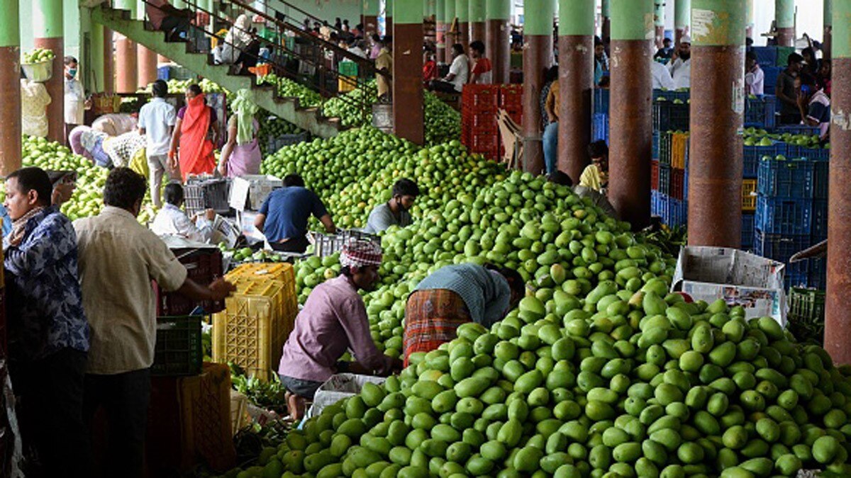 Grow 121 varieties of mangoes in single tree through grafting