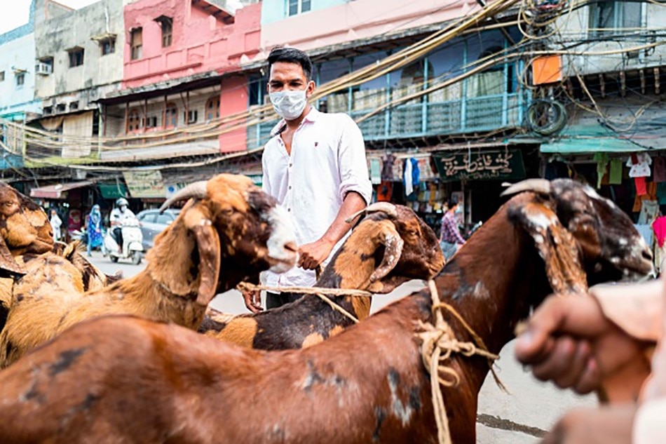 प्रतीकात्मक फोटो (Getty)