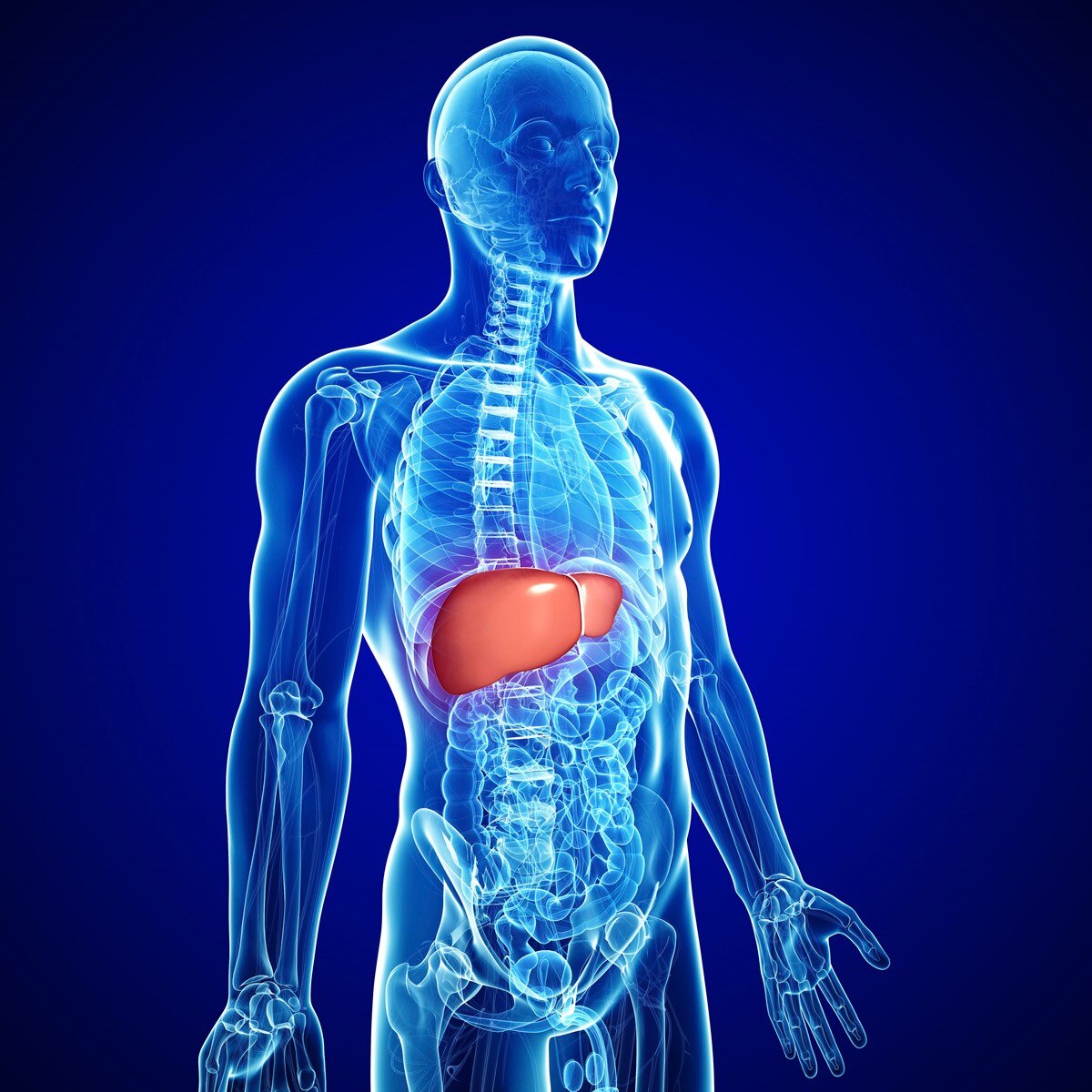 प्रतीकात्मक फोटो (Getty)