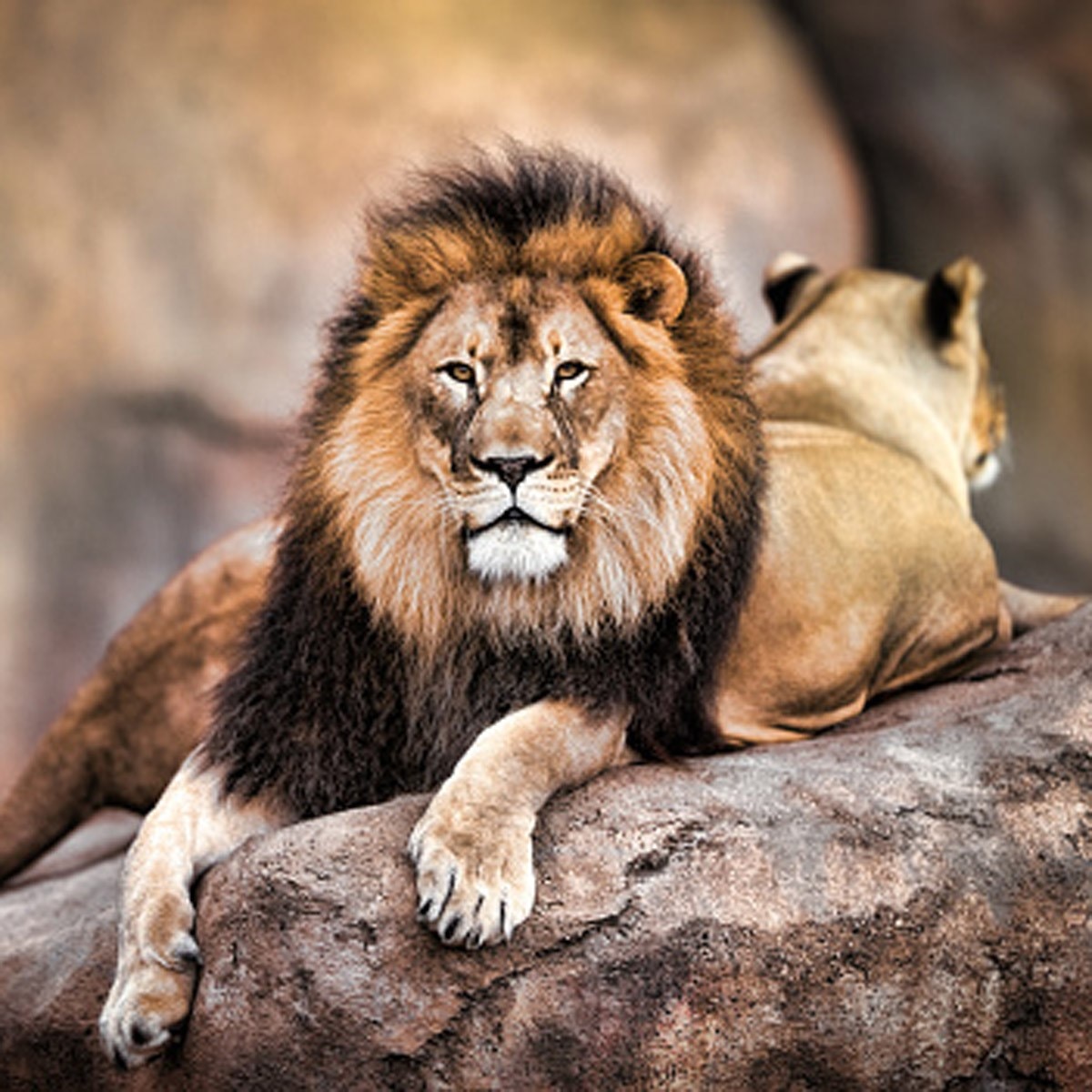 प्रतीकात्मक फोटो (Getty) 