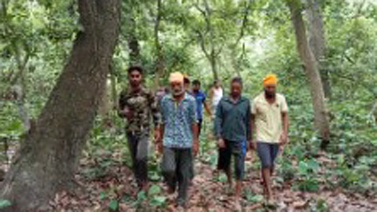 युवकों पर बाघ का हमला