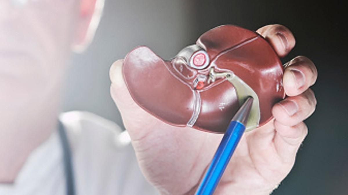 प्रतीकात्मक फोटो 