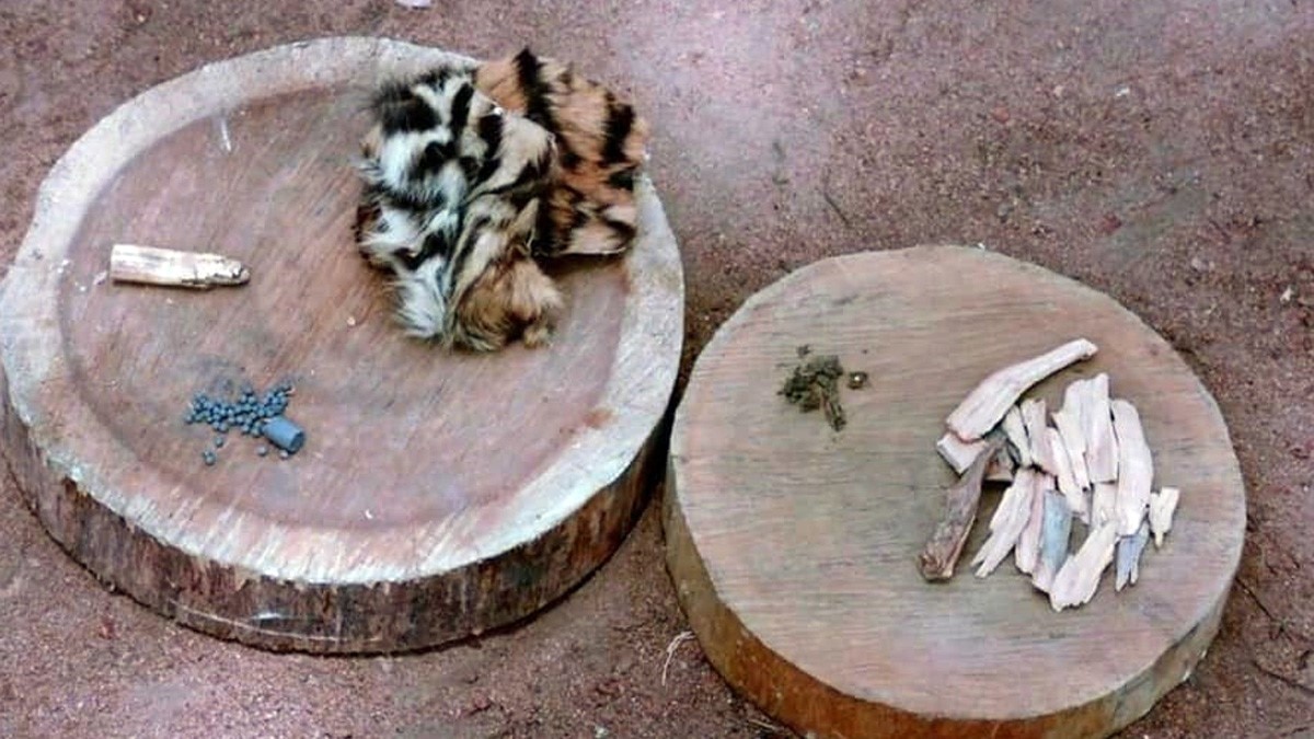 कुत्ते निभाते हैं जांबाज गार्ड्स का रोल