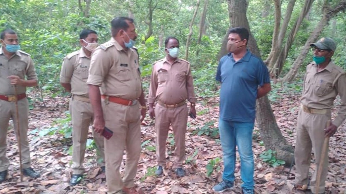 युवकों पर बाघ का हमला