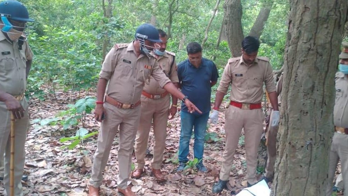 युवकों पर बाघ का हमला