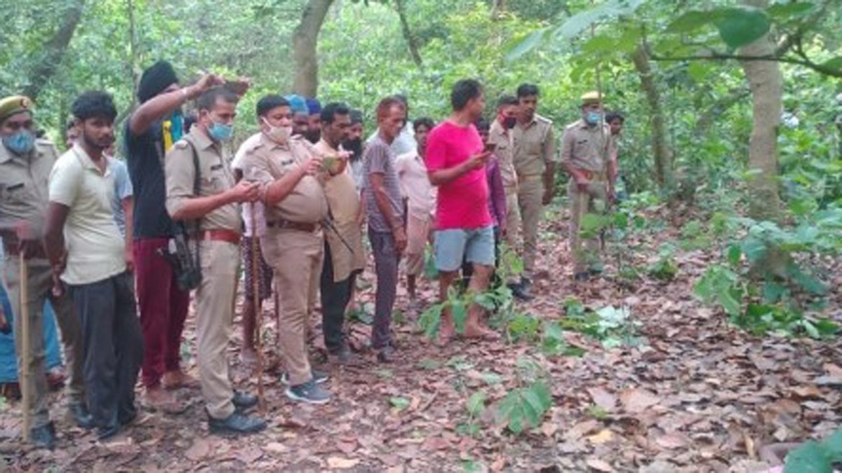 युवकों पर बाघ का हमला