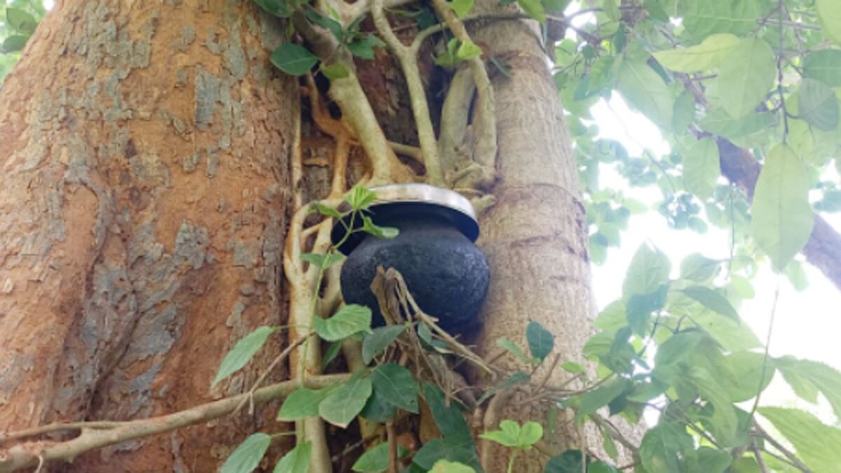 पेड़ के नीचे रहने के लिए मजबूर गरीब किसान 