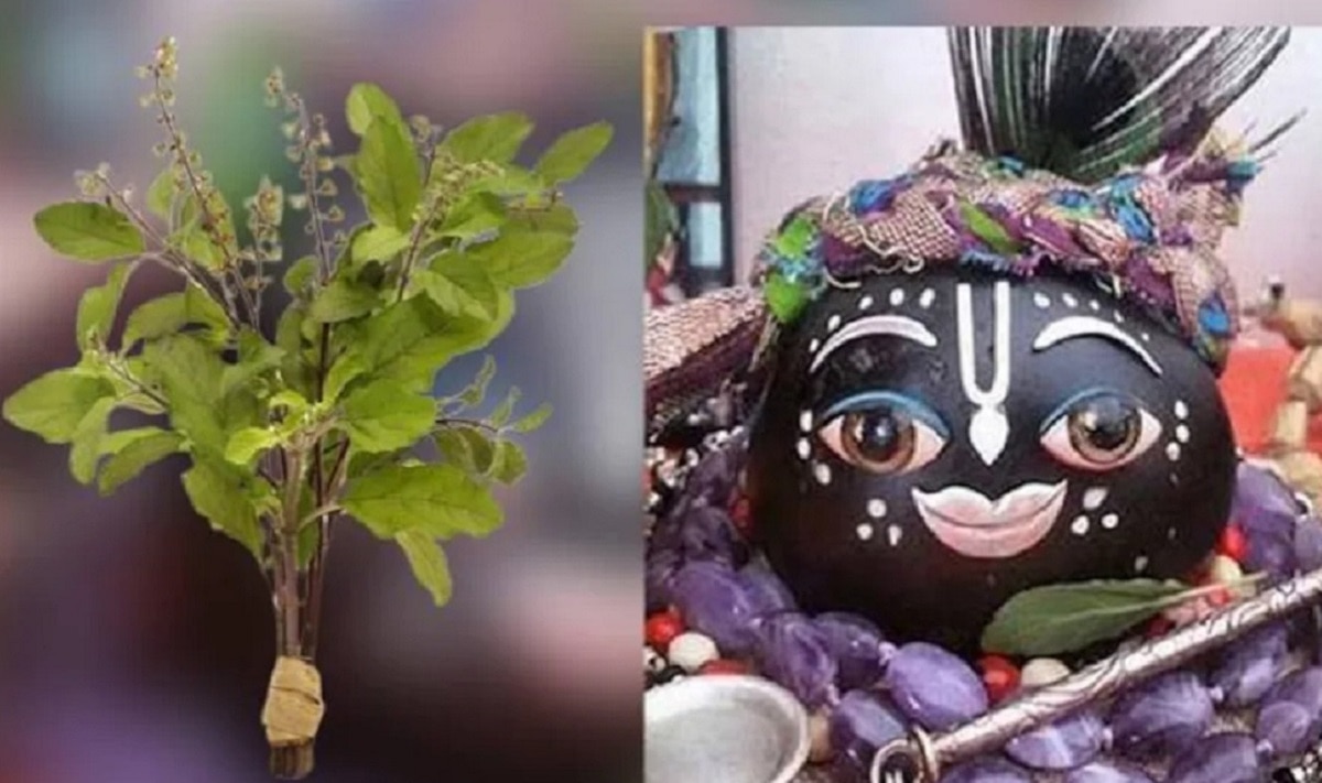 तुलसी ने क्यों दिया था विष्णु को श्राप?