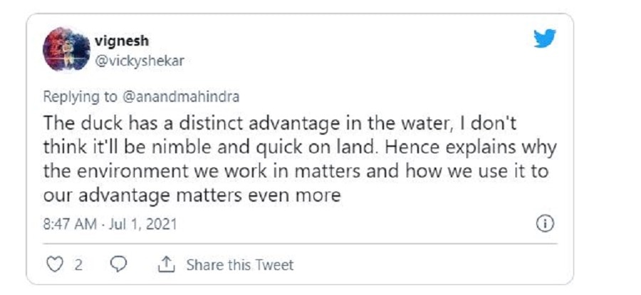 Tiger catch the duck video