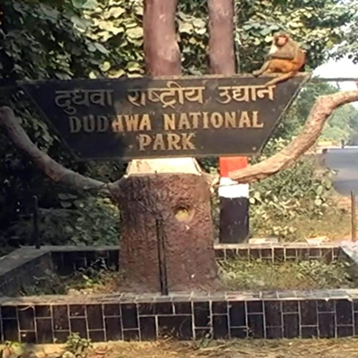 villagers with selfie python