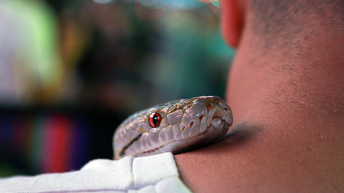 प्रतीकात्मक तस्वीर/getty images 