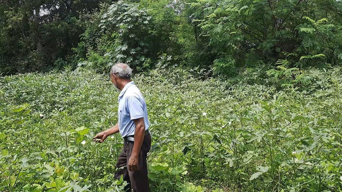 दिहाड़ी मजदूर ने बंजर जमीन को उपजाऊ बना दिया  