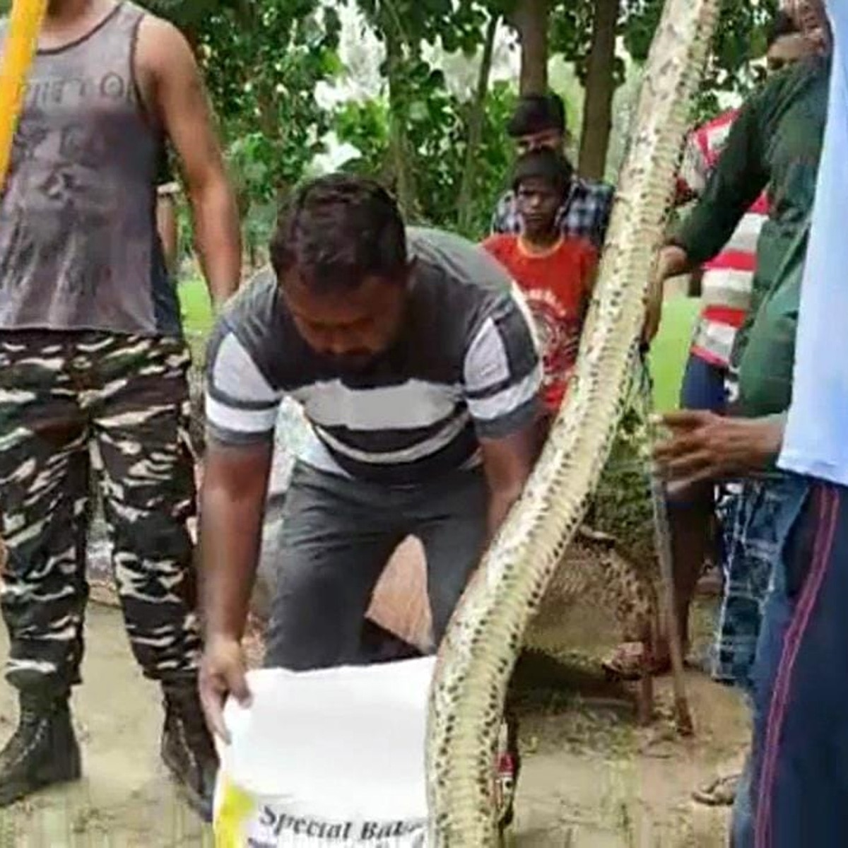 villagers with selfie python