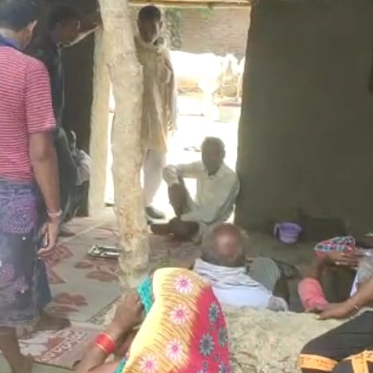 25 Snakes came out in the house