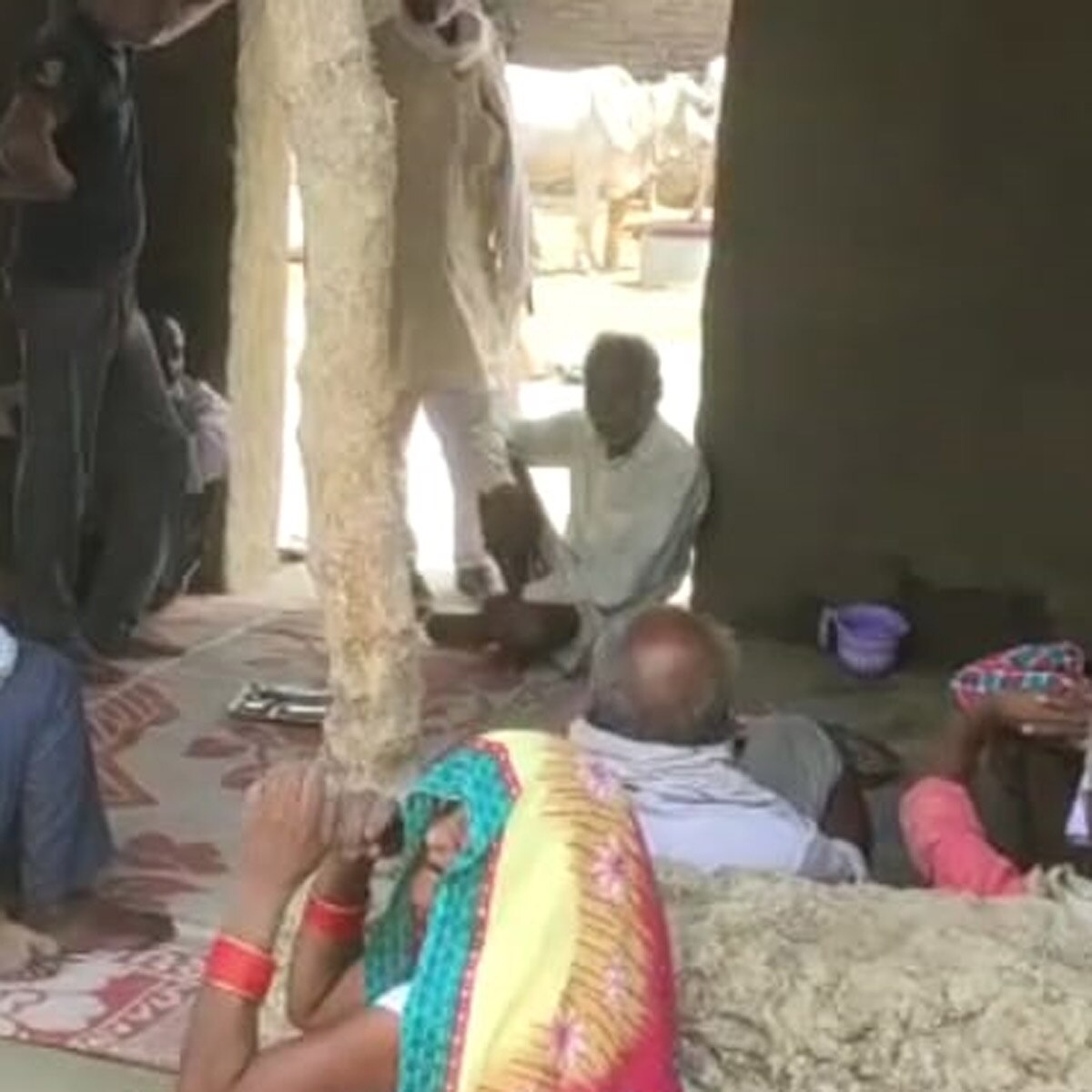 25 Snakes came out in the house