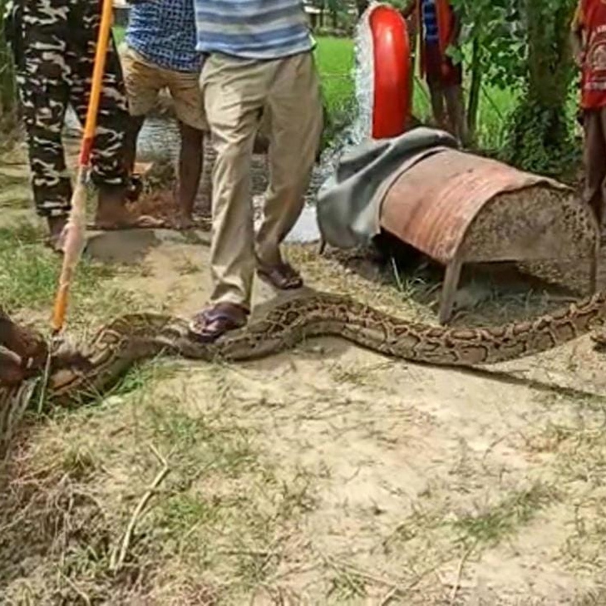 villagers with selfie python