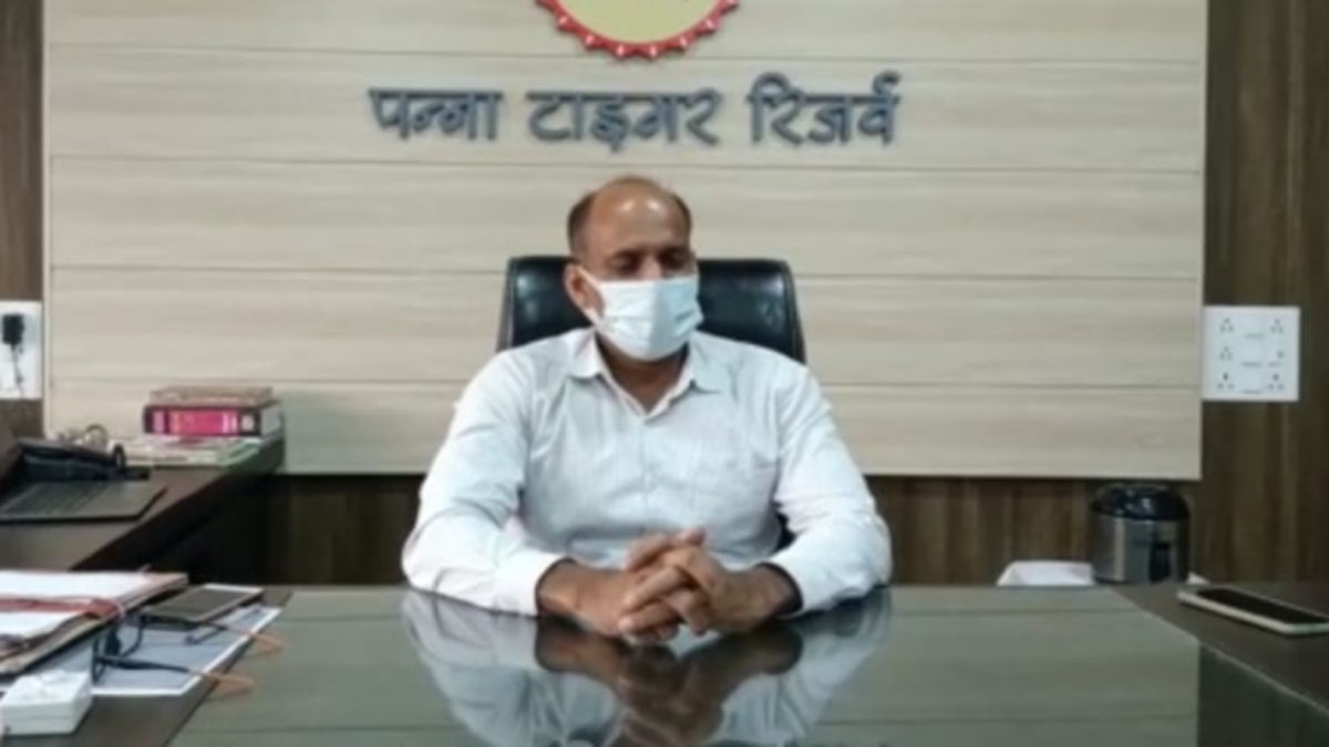 बाघिन की मौत के बाद शावकों का पिता रख रहा ध्यान