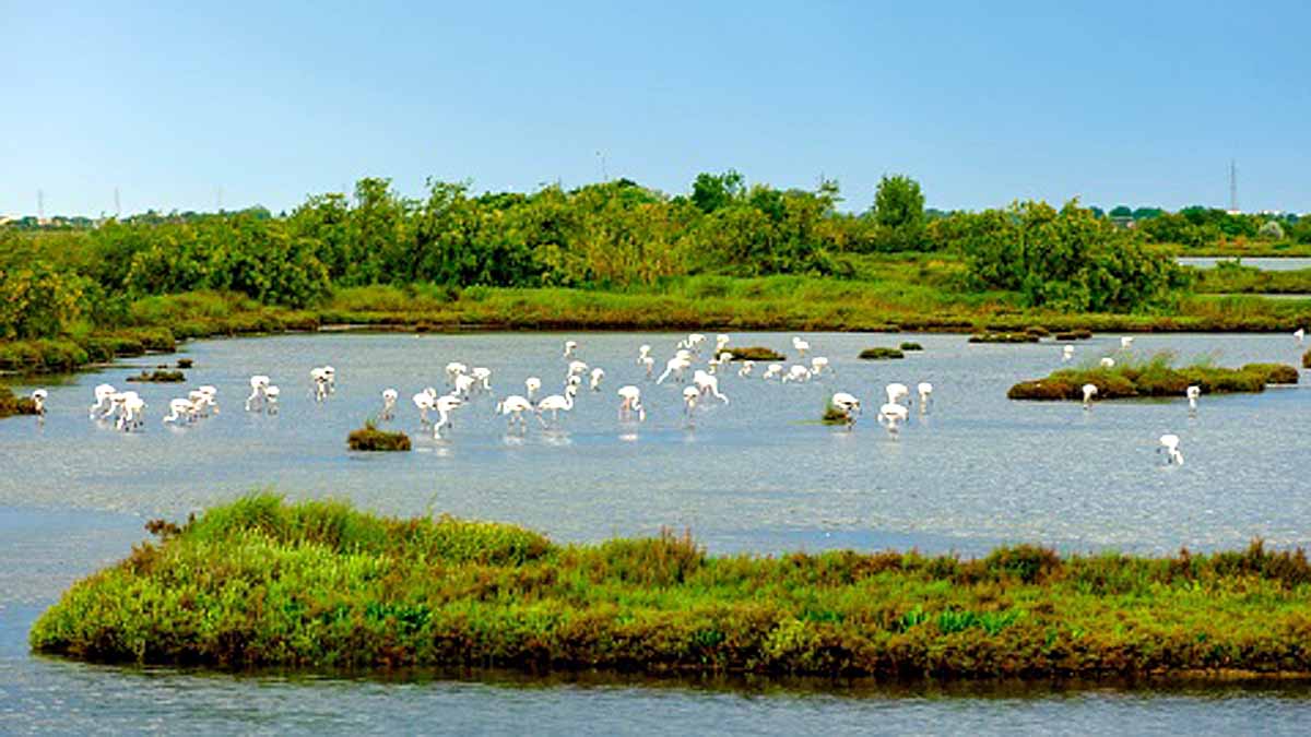 Roman road Venice lagoon