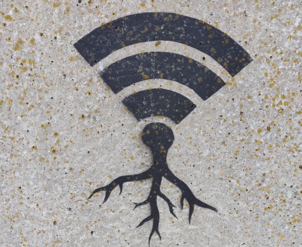 WiFi