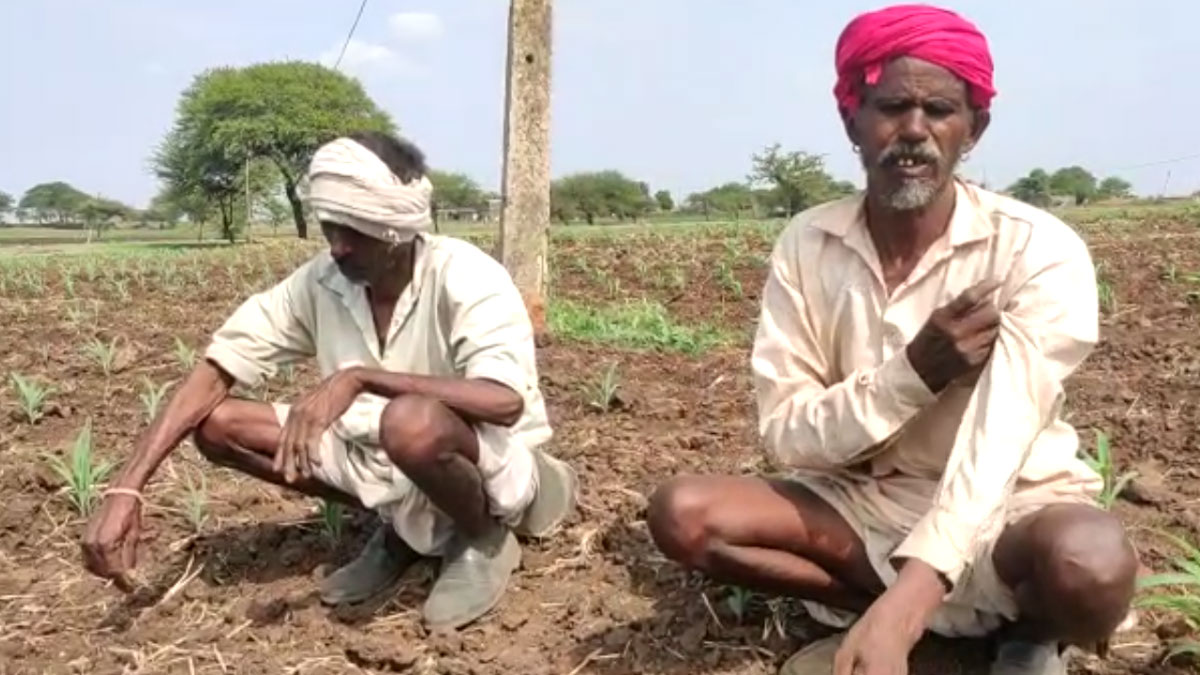  कलेक्टर ने किसान को करोड़ों की 16 बीघा जमीन वापस दिलाई