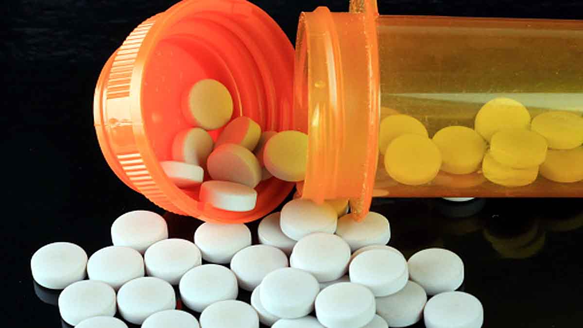 Zika Virus Next Pandemic