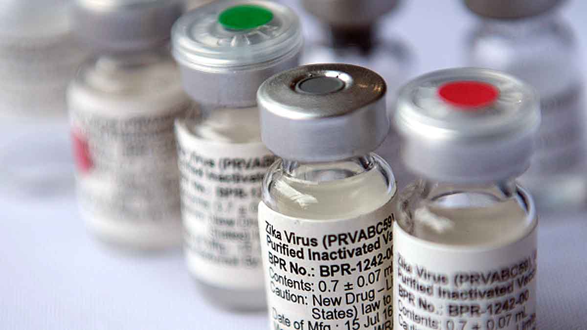 Zika Virus Next Pandemic