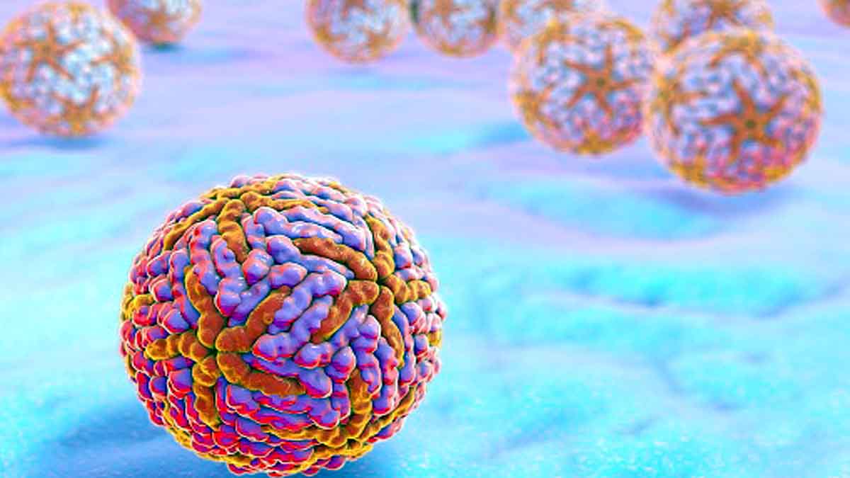 Zika Virus Next Pandemic