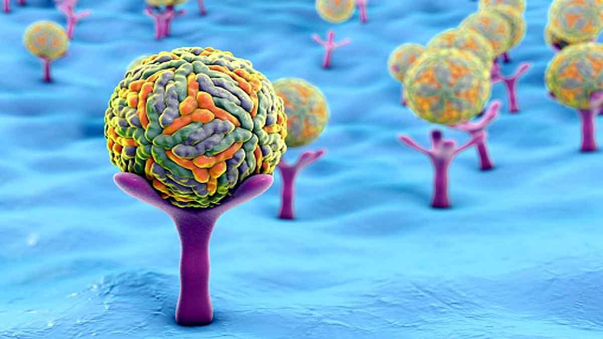 Zika Virus Next Pandemic