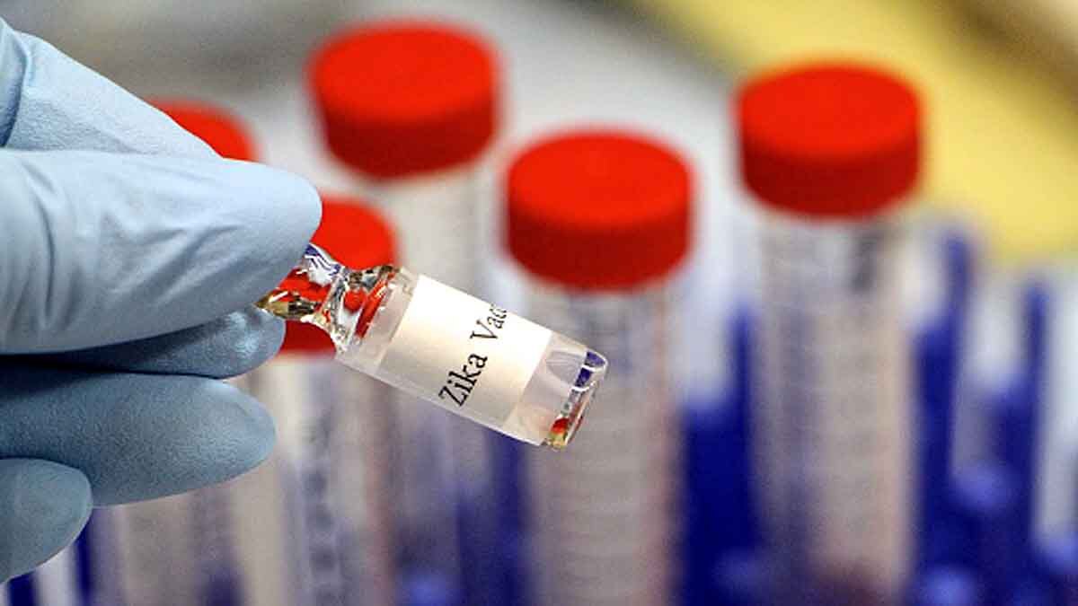 Zika Virus Next Pandemic