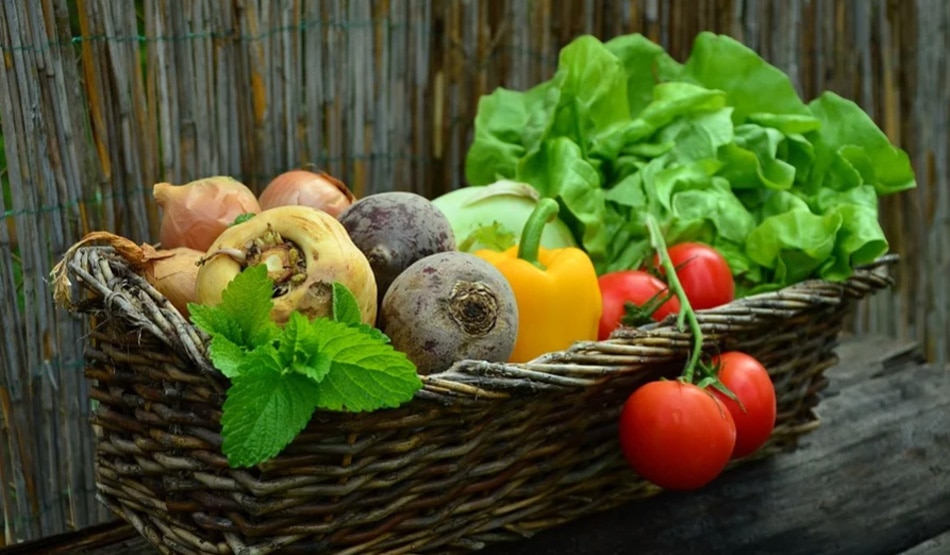 पत्तेदार7