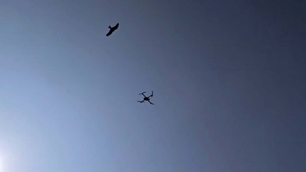 Amitabh Bachchan is also a fan of Phunshuk Wangdu Jharkhand