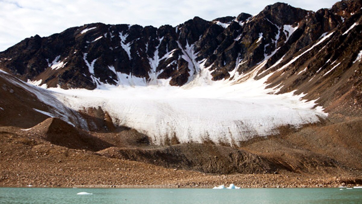 28000 Years Old Lion Cub