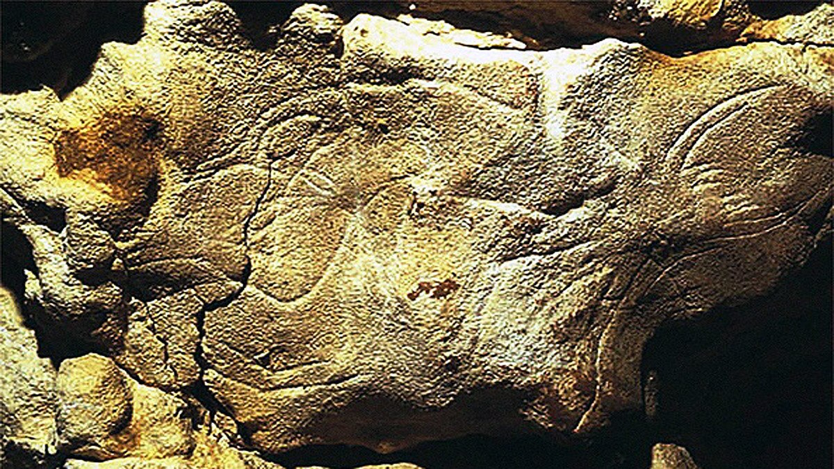 28000 Years Old Lion Cub