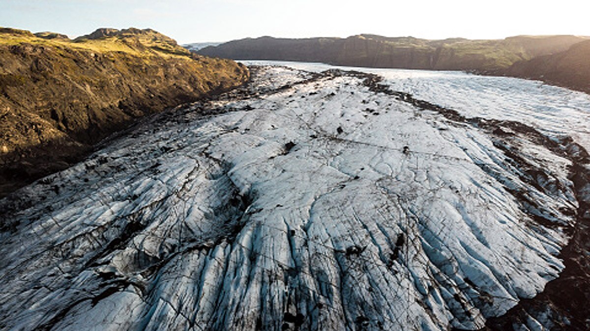 28000 Years Old Lion Cub