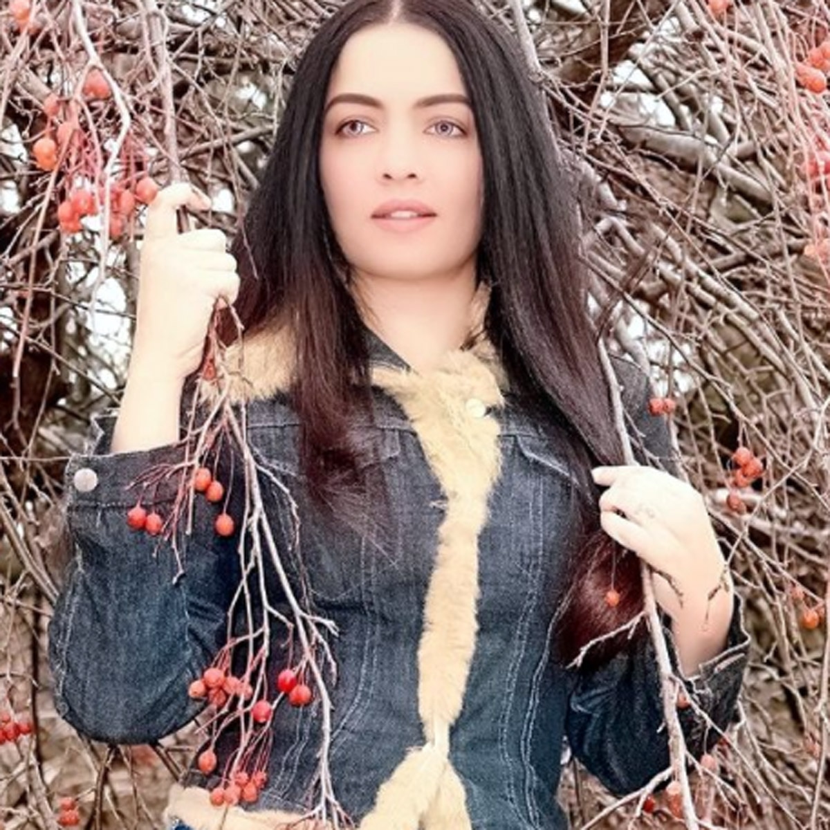 सेलिना जेटली